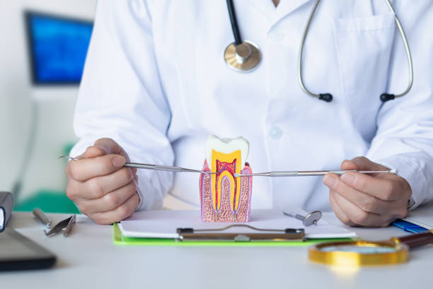 Best Emergency Treatment for Dental Infections or Abscesses in Bryan, OH